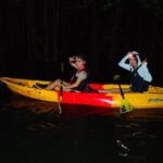 [Okinawa Iriomote] Night SUP/Canoe Tour in Iriomote Island Tour Details