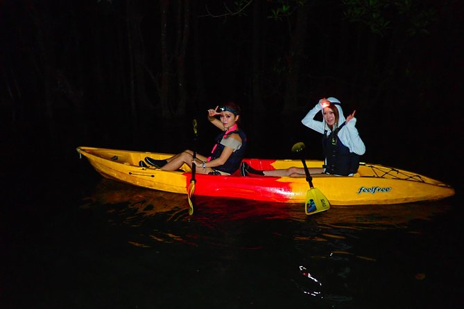 [Okinawa Iriomote] Night SUP/Canoe Tour in Iriomote Island Tour Details