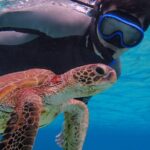 [Okinawa Miyako] [ Day] Pumpkin Limestone Caving & Sea Turtle Snorkeling Activity Overview