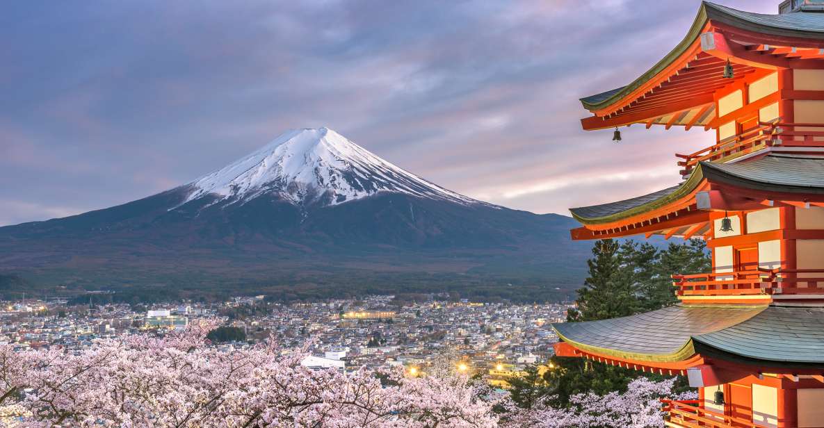 Private Full Day Sightseeing Tour to Mount Fuji and Hakone - Activity Details and Reservation