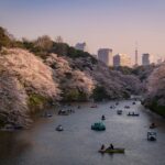 Private Tokyo Photography Walking Tour With a Professional Photographer Inclusions and Exclusions