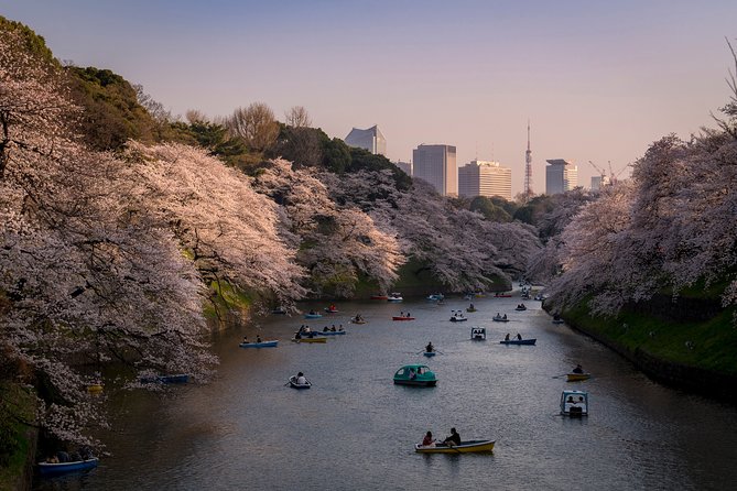 Private Tokyo Photography Walking Tour With a Professional Photographer Inclusions and Exclusions