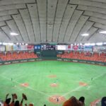 Tokyo Baseball Yomiuri Giants Match Tour (English Speaking Guide) Additional Information