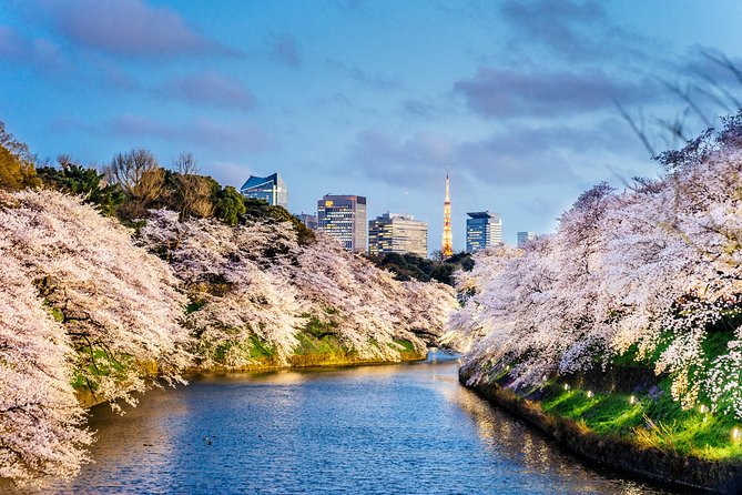 Tokyo Private Sightseeing Tour by English Speaking Chauffeur Tour Details