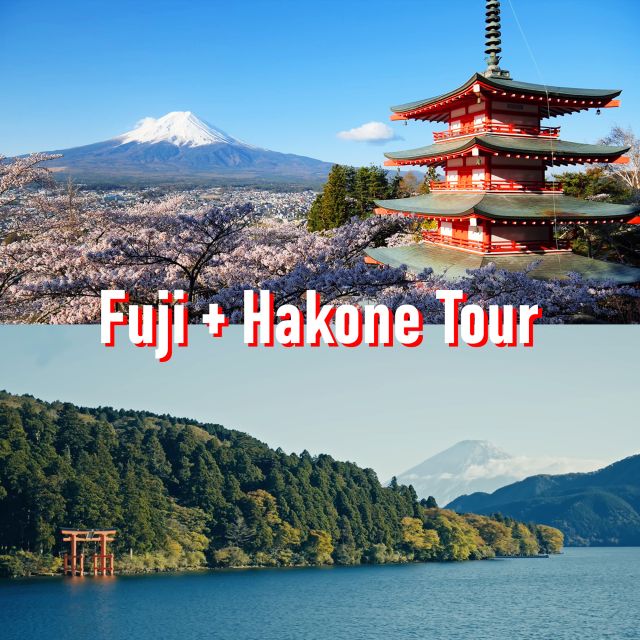 Tokyo to Mount Fuji and Hakone Private Full day Tour Tour Details