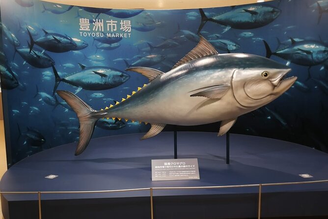 Tuna Auction and Tokyo Toyosu Fish Market Tour Location and Timing