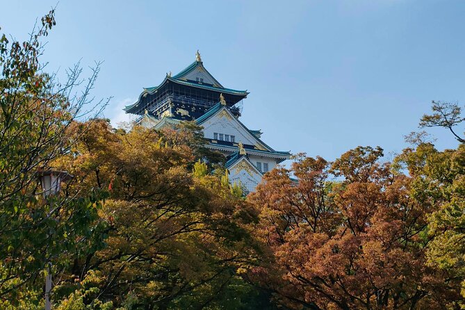 Ultimate Osaka Walking Tour(Osaka Castle, Shinsekai, Dotonbori) Tour Overview