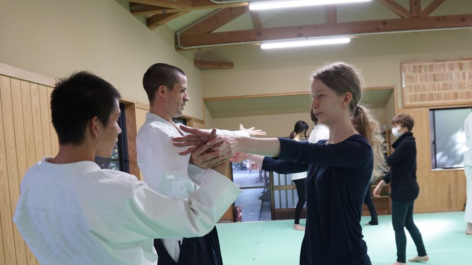 What Is Aikido? (An Introduction to the Japanese Martial Art Origins and History
