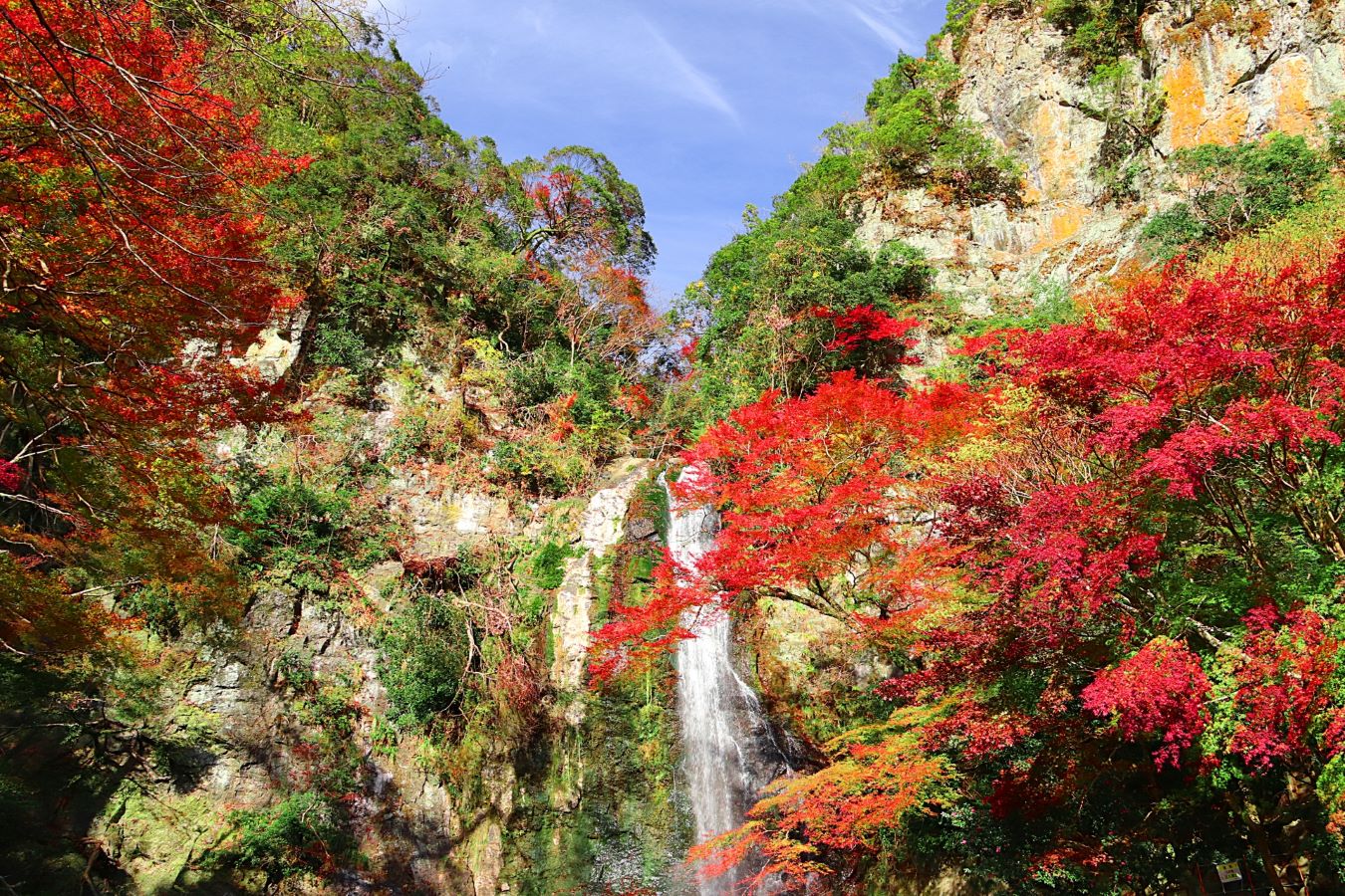 Minoh Falls Osaka