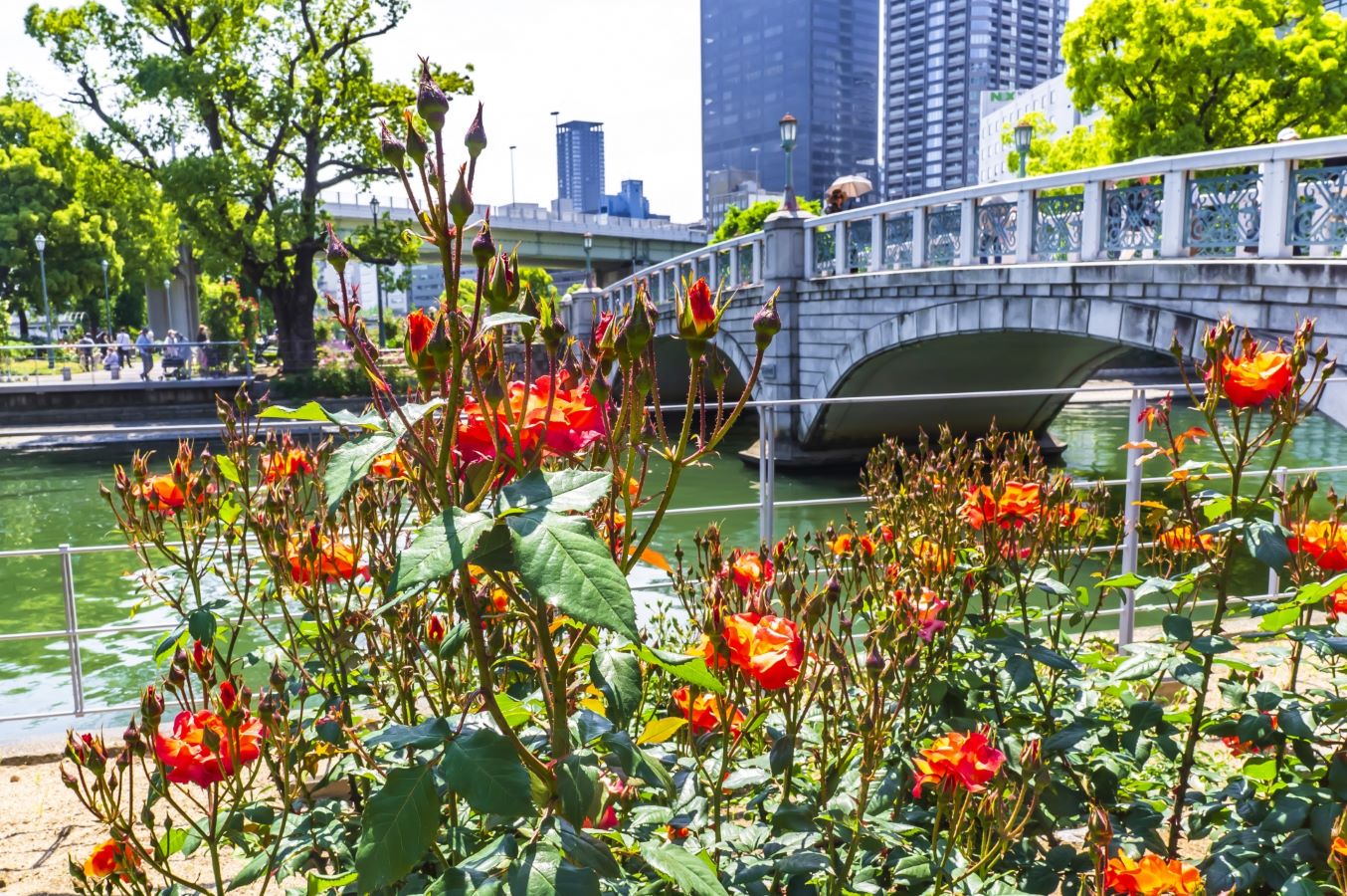 Nakanoshima Park Osaka