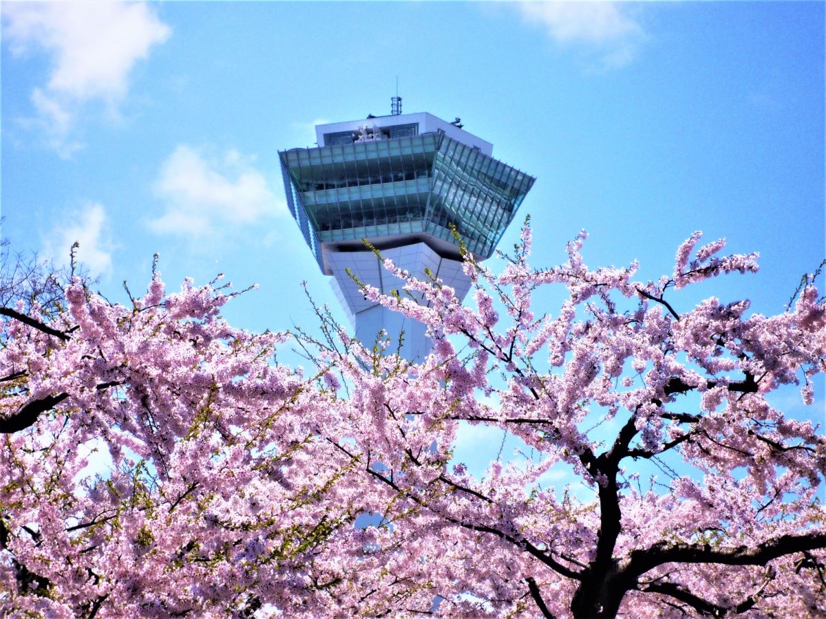Goryokaku Tower Hakodate