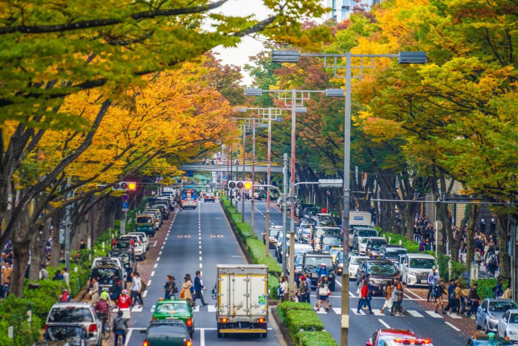 Autumn leaves in Omotesando Harajuku