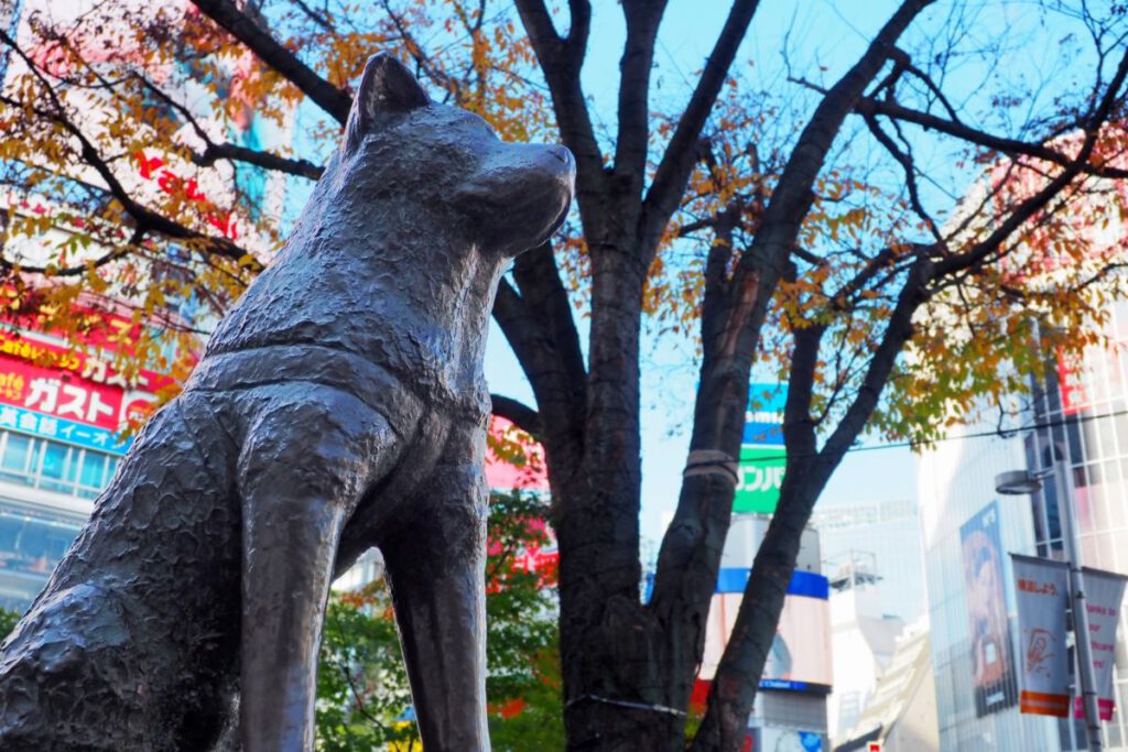 Hachiko Statue Shibuya