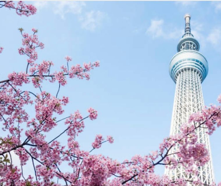 1 Day Tokyo Tour: Customizable (Up-To 6 Persons) - Customizable Experience