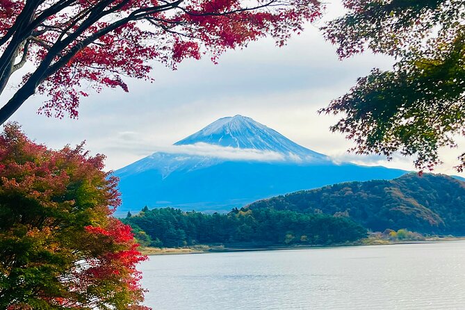 1 Day Tour Mt Fuji,Lake Kawaguchiko With English Speaking Guide - Cancellation Policy