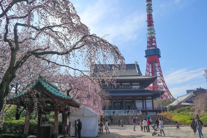 5-Hour Tokyo & Edo Hidden Gem Bike Tour With Lunch - Itinerary Highlights