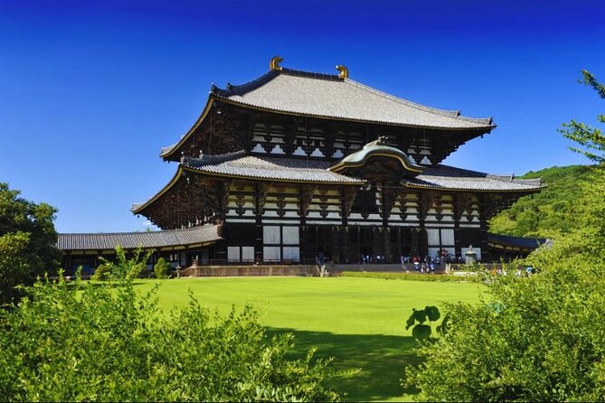 Arashiyama & Yasaka Shrine & Nara & Todaiji Day Trip From Osaka - Reviews Overview