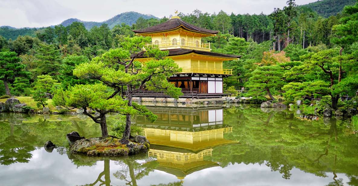 From Osaka or Kyoto: Kyoto & Nara 1 Day Bus Tour - Full Description of the Tour