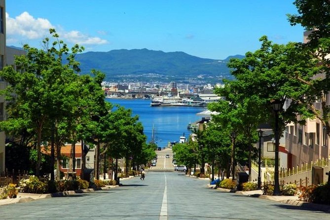 Hakodate Full-Day Private Tour With Government-Licensed Guide - Inclusions and Logistics