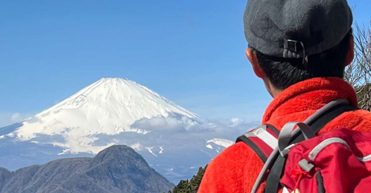 Hakone: Traverse the Hakone Caldera and Enjoy Onsen - Highlights of the Hike