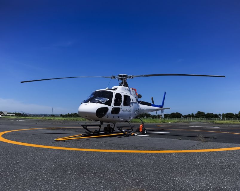Helicopter Shuttle Service Between Narita and Tokyo - Experience Highlights