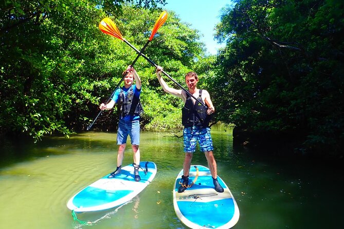 [Ishigaki]Mangrove SUP/Canoe + Blue Cave Snorkeling - Meeting and Pickup