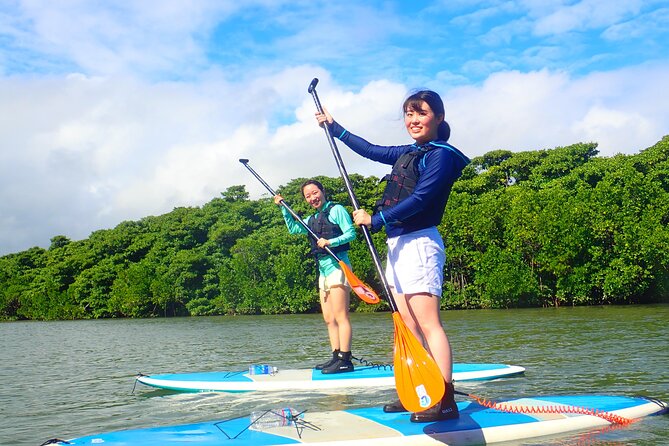 [Ishigaki]Mangrove SUP/Canoe Tour - Meeting and Pickup