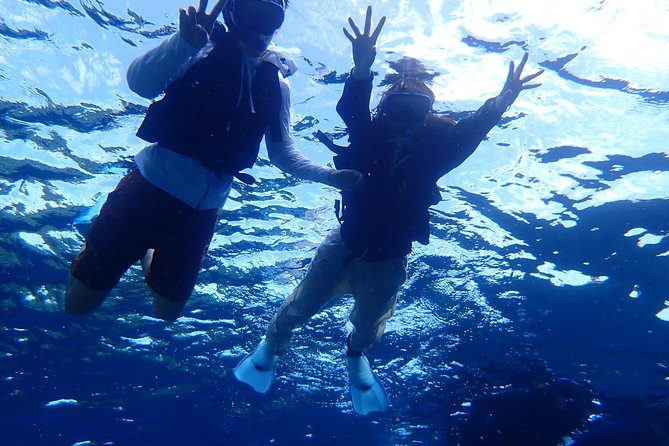 [Ishigaki]Phantom Island Snorkeling+ Taketomi Island Sightseeing - Meeting Details