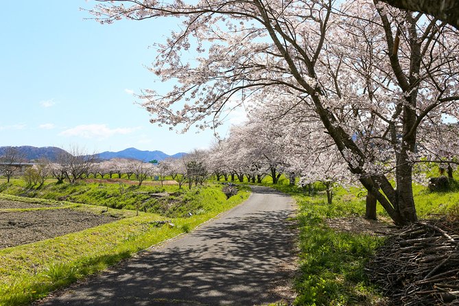 Japans Rural Life & Nature: Private Half Day Cycling Near Kyoto - Meeting and Pickup Details