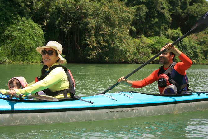 Kayak Mangroves or Coral Reef: Private Tour in North Okinawa - Tour Expectations