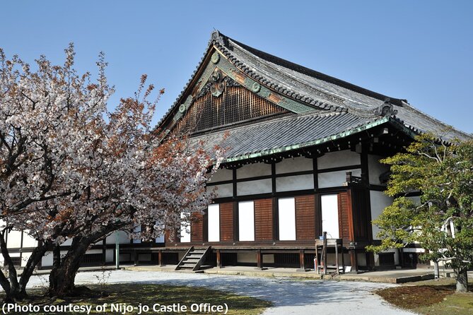 Kyoto 1 Day Trip-Golden Pavilion & Kiyomizu Temple From Osaka - Practical Information
