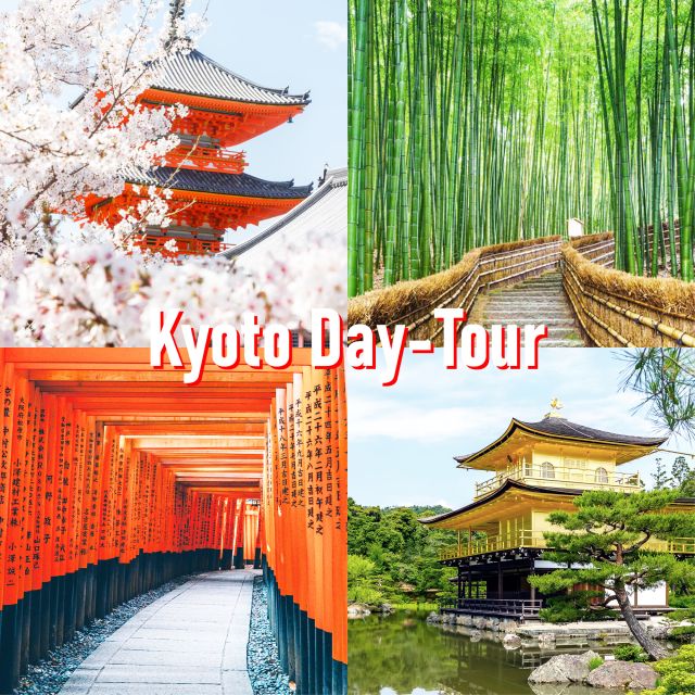 Kyoto: 10-hour Customized Private Tour - Highlights