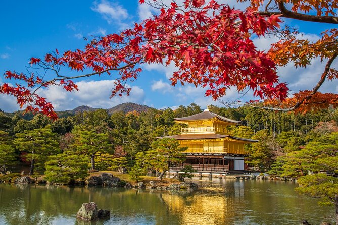 Kyoto and Nara 1 Day Bus Tour - UNESCO World Heritage Sites