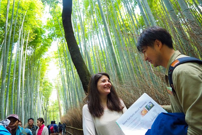 Kyoto Arashiyama Bamboo Forest & Garden Half-Day Walking Tour - Whats Included