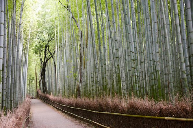 Kyoto Arashiyama Best Spots 4h Private Tour With Licensed Guide - Tour Inclusions