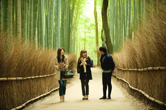 Kyoto Arashiyama Rickshaw Tour With Bamboo Forest - Discover the Serenity of the Bamboo Forest