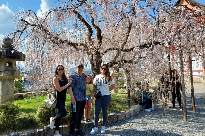 Kyoto Best Spots Private Tour With Licensed Guide (4h/6h) - Inclusions and Meeting Point