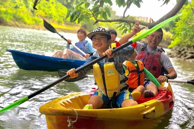 Mangrove Kayaking to Enjoy Nature in Okinawa - Tour Information