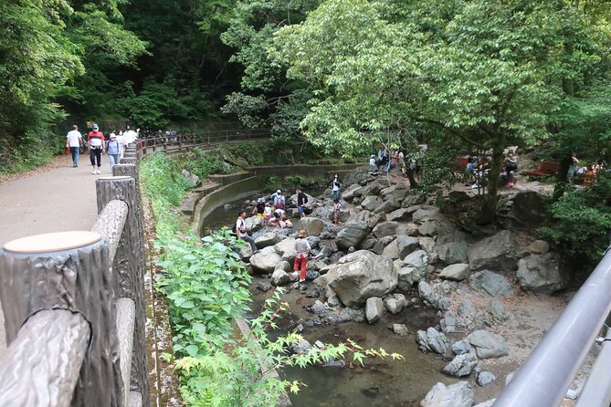 Minoh Waterfall and Nature Walk Through the Minoh Park - Description of Minoh Quasi National Park