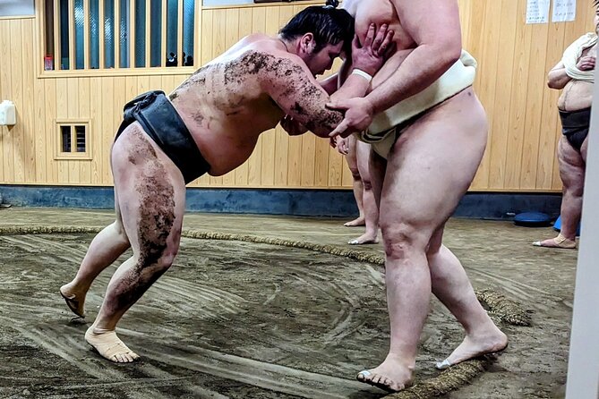 Morning Sumo Practice Viewing in Tokyo - Additional Information
