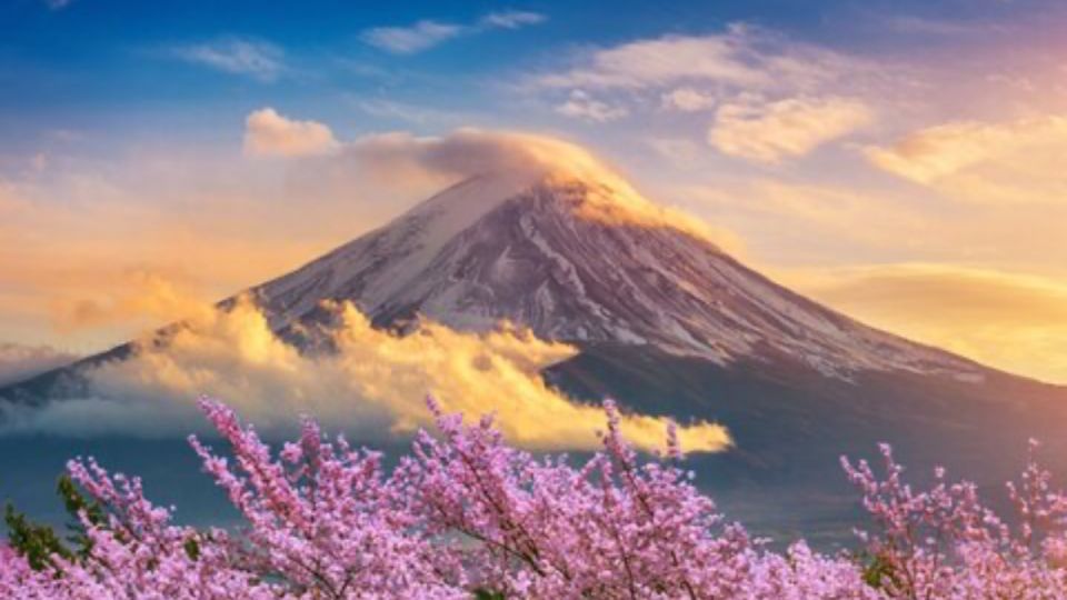 Mount Fuji Full Day Private Tour in English Speaking Guide - Tour Description