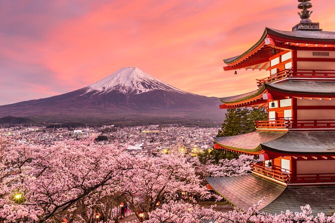 Mount Fuji Private Tour by Car - English Speaking Driver - Additional Info