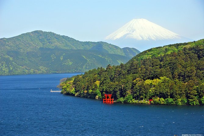 Mt. Fuji and Hakone Day Trip From Tokyo With Bullet Train Option - Meeting and Departure Information