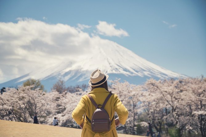 Mt Fuji Day Trip With Private English Speaking Driver - Itinerary and Sightseeing Stops