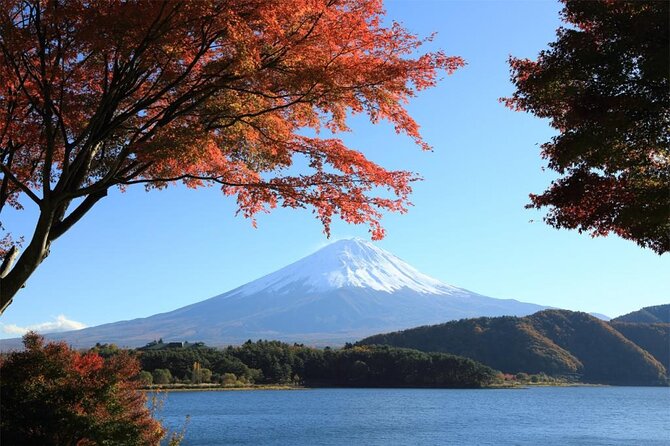 Mt. Fuji & Hakone 1 Day Bus Tour From Tokyo Station Area - End Points Information