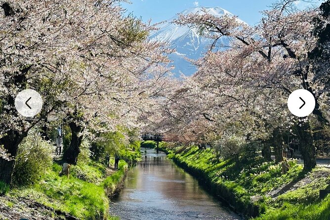 Mt. Fuji, Hakone Full-Day Private Tour With English Driver Guide - Booking Details