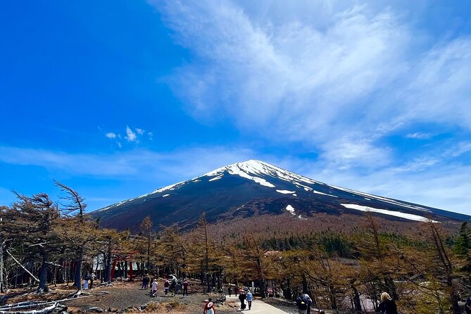 Mt. Fuji & Hakone Tour Tokyo Hotel Pick-Up & Drop-Off by Grayline - Inclusions and Exclusions