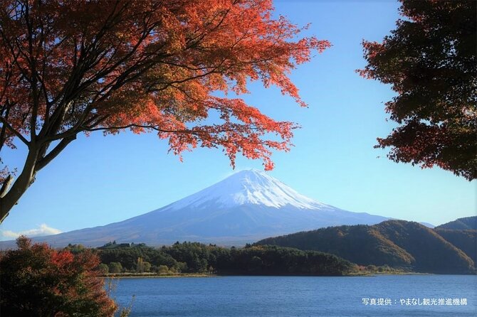 Mt.Fuji, Oishi Park & Arakurayama Sengen Park Bus Tour From Tokyo - Itinerary Overview