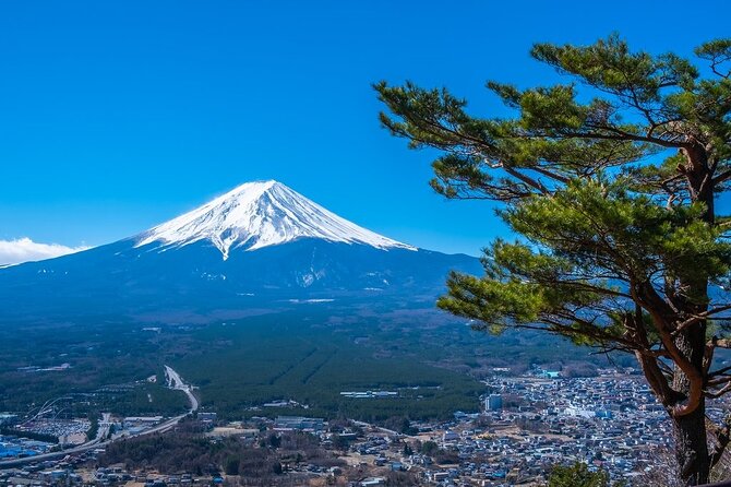 Mt. Fuji Private Tour by Car With Pick-Up From Tokyo - Reviews