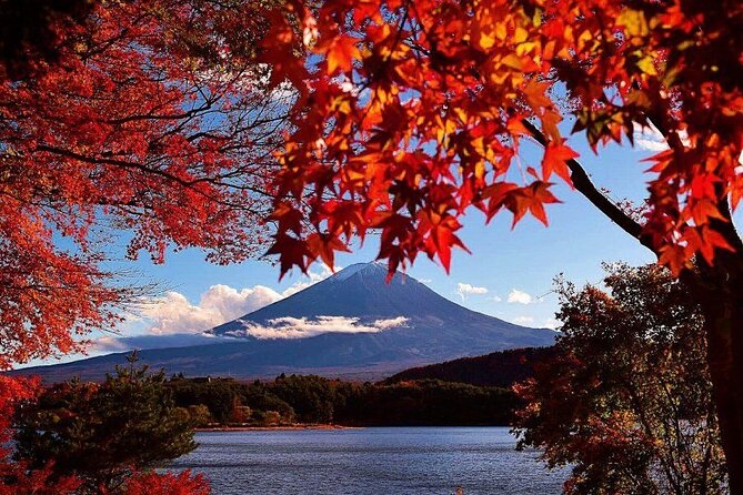 Mt. Fuji View and 2hours+ Free Time at Gotemba Premium Outlets - Mt. Fujis 5th Station Visit